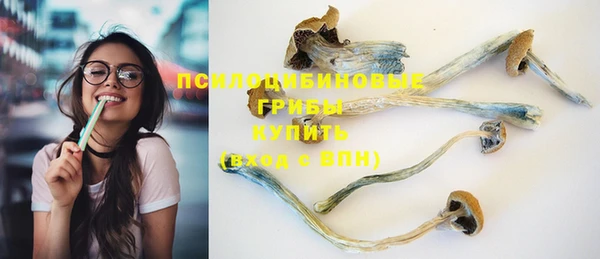винт Арсеньев
