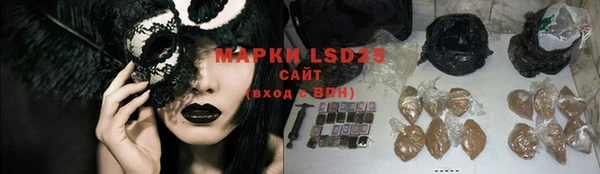 крисы Аркадак