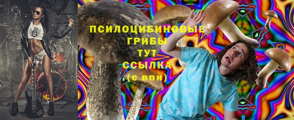винт Арсеньев
