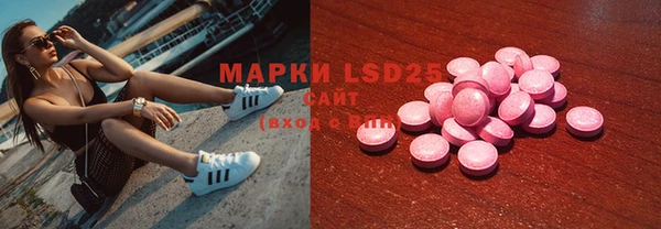 крисы Аркадак